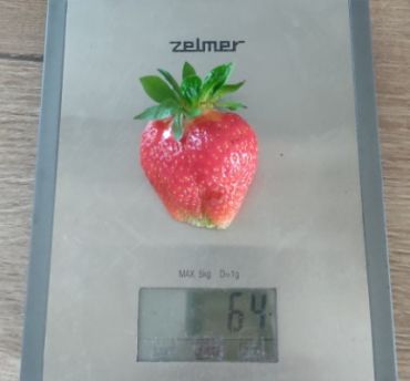 Клубника Альба (1 штука)